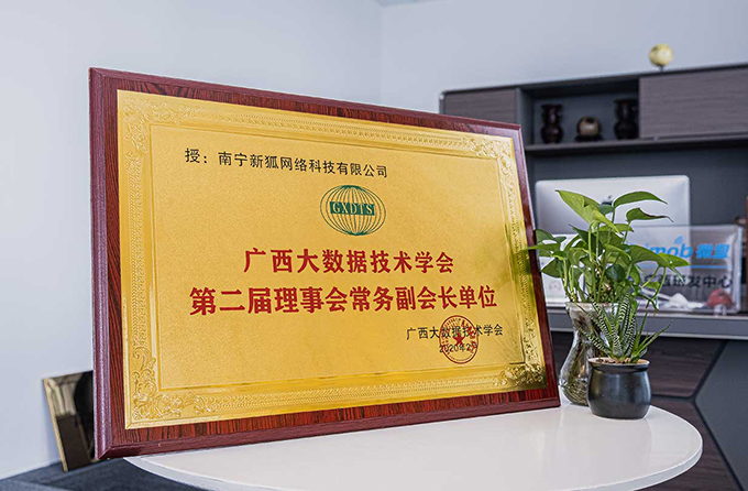 广西大数据学会常务副会长单位
